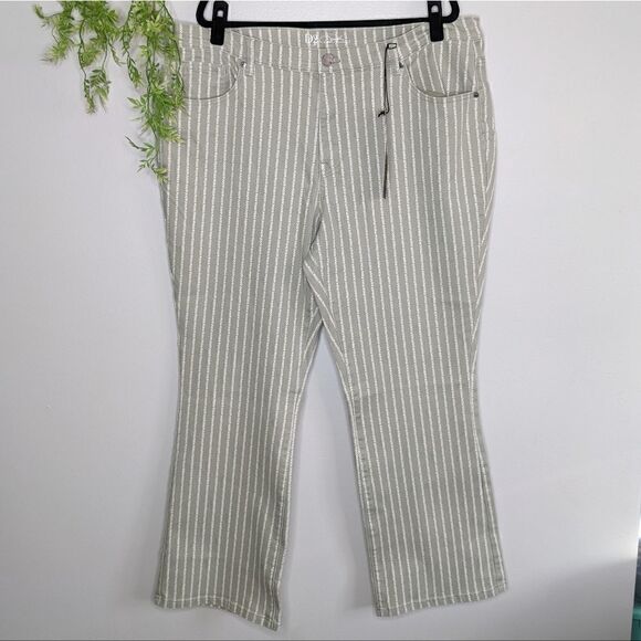 DG2 by Diane Gilman Denim - (DG2) Plus Size Diane Gilman Striped Jeans Gray Green Straight 22W